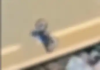 Viral, Video Motor Yamaha RX-King Dibuang ke Sungai, Netizen: Raja Jalanan Nangis Lihat Ini