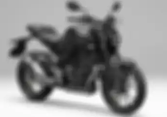 Makin Ganteng! Honda Rilis Motor Baru CB250R Facelift, Harga Bikin Penasaran