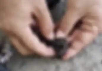 Awas Bungkusan Plastik Berisi Ranjau Paku Bertebaran di Jalan Gatot Subroto