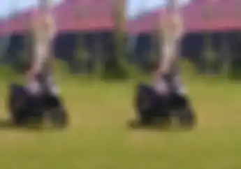 Video Bocah Naik Motor Honda BeAT Sendirian Enggak Pakai Helm, Polisi Bilang Begini