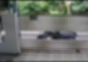 Bikin Geger, Video Maling Bermotor Bobol Rumah Di Cengkareng, Uang Ratusan Juta Raib