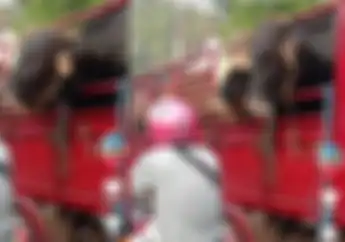 Kocak Sapi Korban Isengin Pemotor di Lampu Merah, Mau Jilat Helm