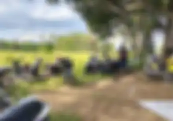 Puluhan Motor Ditinggalkan Pemiliknya, Kabur Kocar-Kacir Digerebek Petugas Saat Judi Sabung Ayam