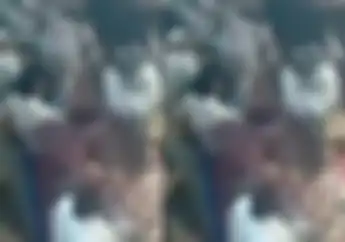 Viral Video Pemotor Terobos Tahlilan Sampai Lindas Makanan di Cilandak, Polisi Bilang Begini