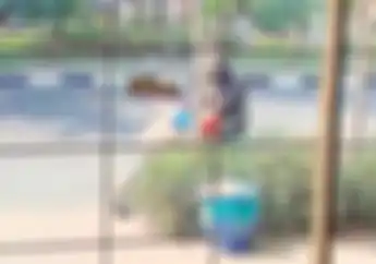 Aksi Terekam CCTV, Maling Motor Cuma Butuh 5 Detik untuk Curi Honda BeAT