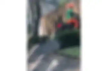 Geger Video Petugas PPSU Tendang Sampai Tabrak Pacar, Korban: Hanya Salah Paham Saja