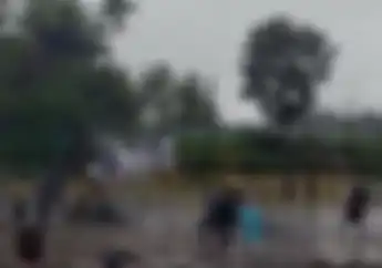 Unik, Balap Motor Gabah di Sirkuit Lumpur Tengah Sawah di Enrekang Untuk Rayakan Hasil Panen