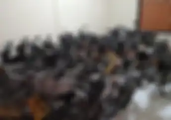 Harta Karun Puluhan Motor Dinas Polisi Dilelang, Ada Yamaha YT, Scorpio sampai Honda Tiger