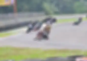 256 Starter Gaspol Di Balap HBX Road Race Championship 2022 Di Sirkuit Sentul Karting