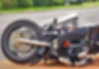 Mitos Tabrak Kucing Bisa Bikin Pemotor Kecelakaan, Ahli Ungkap Faktanya