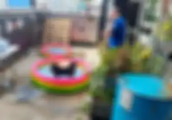 Kolam Berendam Toprak Razgatlioglu di WSBK Mandalika 2022 Ternyata Bukan Air Sembarangan