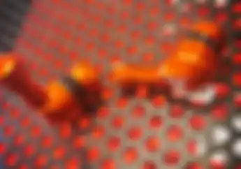 Pentil Ban Motor Punya 2 Ukuran, Salah Pilih Harus Dibor Velgnya