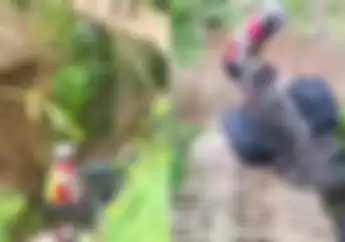 Viral Video Polisi Naik Motor Jatuh Saat Antar Bantuan Gempa Cianjur, Begini Kondisinya