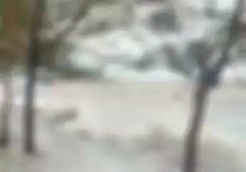 Liburan Nataru Turing ke Pantai, BMKG Beri Peringatan Potensi Banjir Rob