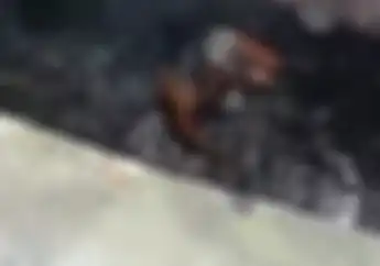 Pedagang Nasi Disiram Air Keras Pemotor Misterius, Korban Terkapar di Parit Berlumpur