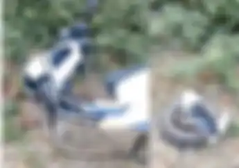 Kacau Sokbreker Depan Motor Listrik Patah, Pemotor Terkapar