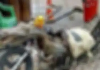 Modifikasi Motor Unik Bertema Binatang, Ada Buaya Sampai Kuda