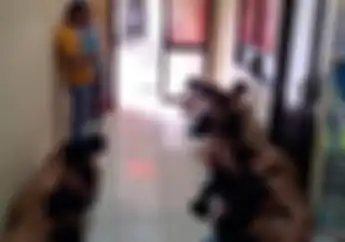 Geng Motor 'Enjoy Warok' Beringas Bawa Senjata, Polisi Ungkap Para Anggotanya Pengecut