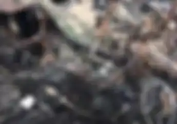 Nasib Pemilik Motor Terbakar Akibat Peristiwa Depo Plumpang, Pertamina SIap Tanggung Jawab