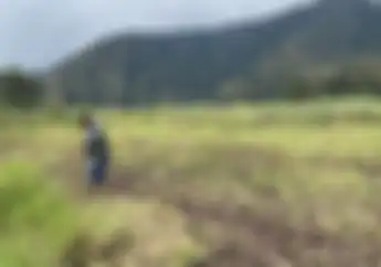 Kawasan Ranca Upas Dibuka Lagi Usai Dirusak Event Motor Trail, Ada Tempat Dilarang Dikunjungi