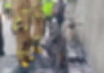 5 Kasus Motor Murah Honda BeAT Hangus Terbakar Dugaan Penyebabnya Sama Semua