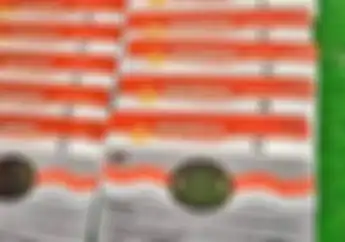 Cara Perpanjang SIM Tanpa E-KTP Gak Perlu Balik Kampung Modal Handphone Aja