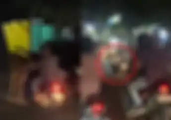 Kecelakaan Khas Idul Adha, Sapi Kurban Lepas Seruduk Pengendara Motor Di Padang