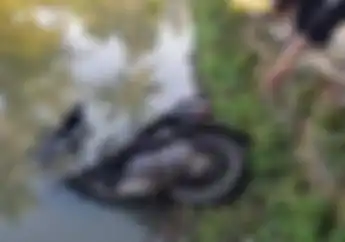 Apes Maling Motor Honda BeAT di Sukabumi Tenyata Motornya Rusak, Langsung Dibuang ke Kolam