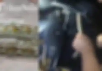 Cara Gampang Usir Ular Yang Ngumpet di Body Motor, Cuma Pakai Bahan Dapur Mudah Didapat