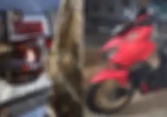 Dikasih Motor Pengganti, Pemilik Honda Vario 160 dari Tangerang yang Rangka eSAF Motornya Karatan Lagi Dicek