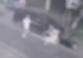 Viral Bocil Atraksi Gagal Freestyle Pakai Motor, Tabrak Mobil Jadi Buronan Polisi