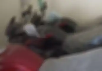 Honda Tiger Kondisi Mulus Kilometer Nol Masih Dijual, Pembeli Bebas Pilih Warna dan Bayar di Lokasi