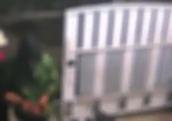 Maling Motor Kepergok yang Punya Motor Saat Beraksi di Cimahi Malah Teriak Gak Jadi