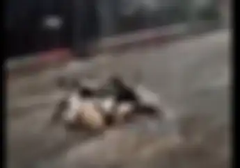 Motor Hanyut Terbawa Arus Banjir Seperti di Bogor Masih Bisa Dipakai Lagi atau Jual Rugi?