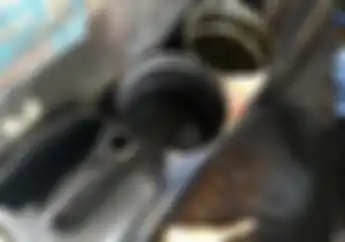 Enggak Nyangka Oli Bekas Dijual Rp 2 Ribu Per Liter, Bengkel Motor Bisa Jual Sampai Segini Bro