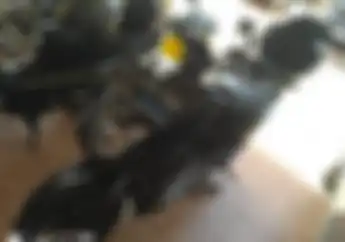 Modifikasi Motor Listrik Volta 401 Pasang Setang BeAT Street, Siapkan Modal Rp 1 Jutaan