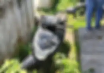 Honda BeAT Tak Bertuan Bikin Kaget Petani di Bantul, Dibuang Maling Motor?