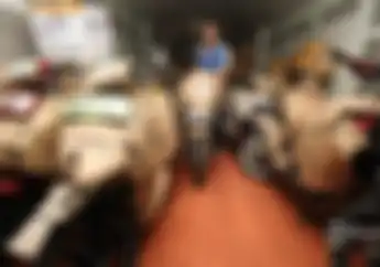 Mudik Gratis 2024 Program Motis Kemenhub Dibuka Hari Ini Cek Syarat dan Cara Daftarnya