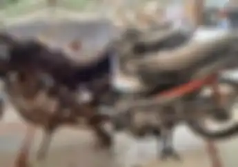 Borong 5 Motor Murah Harga Mulai Rp 3 Jutaan Ada Yamaha Scorpio Hingga Suzuki Shogun Ini Lokasinya