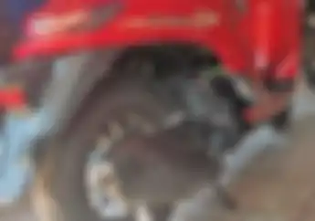 Tarikan Lebih Enteng, Segini Biaya Modifikasi Motor Honda Stylo 160 Pakai Knalpot Vespa Matic
