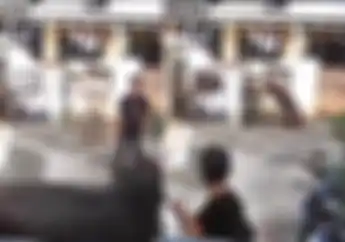 Ngeri, Video Sapi Ngamuk di Jakarta Timur 2 Motor Jadi Korban, Begini Endingnya