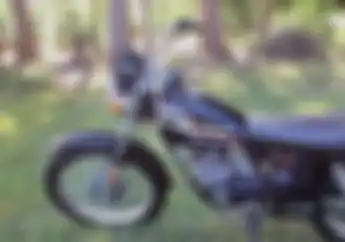 Motor Harley-Davidson Bisa Isi Pertalite Tak Terdampak Pembatasan BBM Subsidi Pemerintah