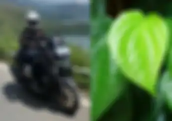 Solusi Pemotor Bau Badan Pakai Dua Lembar Daun Enggak Dijauhi Tongkrongan