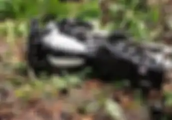 Ngeri Harley-Davidson Terjun ke Jurang Sedalam 20 Meter di Banjar Begini Kondisi Pengendara