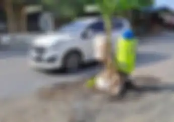 Jalan Nasional Berlubang dan Berbahaya Buat Motor Cuma Ditutup Pohon Pisang Kok Tidak Langsung Diperbaiki?