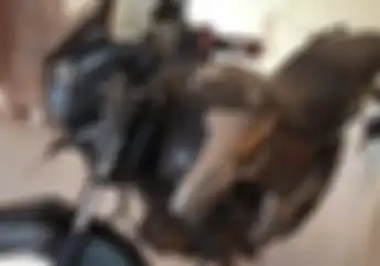 Cocok Buat Direstorasi, Motor Legendaris Honda Tiger Komplit Ditawarkan Rp 2 Juta