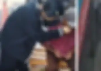 Uang Rp 300 Ribu Bikin Pemotor Nekat, Kakek Penjual Pisang Dicari Wakil Wali Kota Bogor 