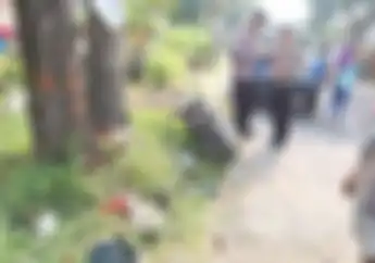 Kaget Berujung Maut, Mahasiswa Pengendara Honda BeAT Tewas di Bawah Pohon