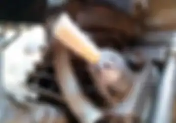 Cegah Oli Bocor Dari Tensioner Motor, Sumpal Dengan ini Masalah Beres