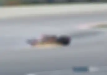Ngeri! Video Motor Pol Espargaro Keluar Percikan Api di Kualifikasi 1 MotoGP Malaysia